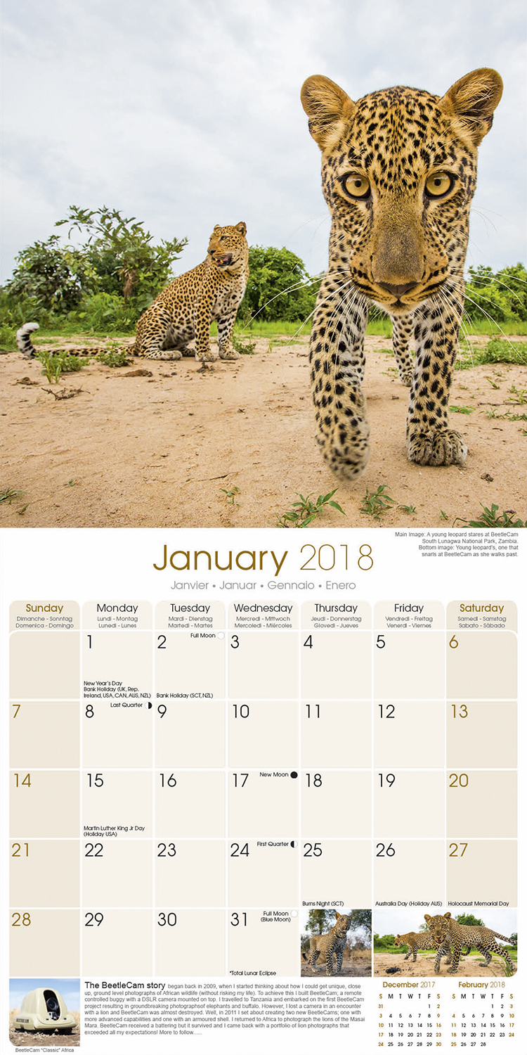 African Wildlife Calendar 2018 Pet Prints Inc.