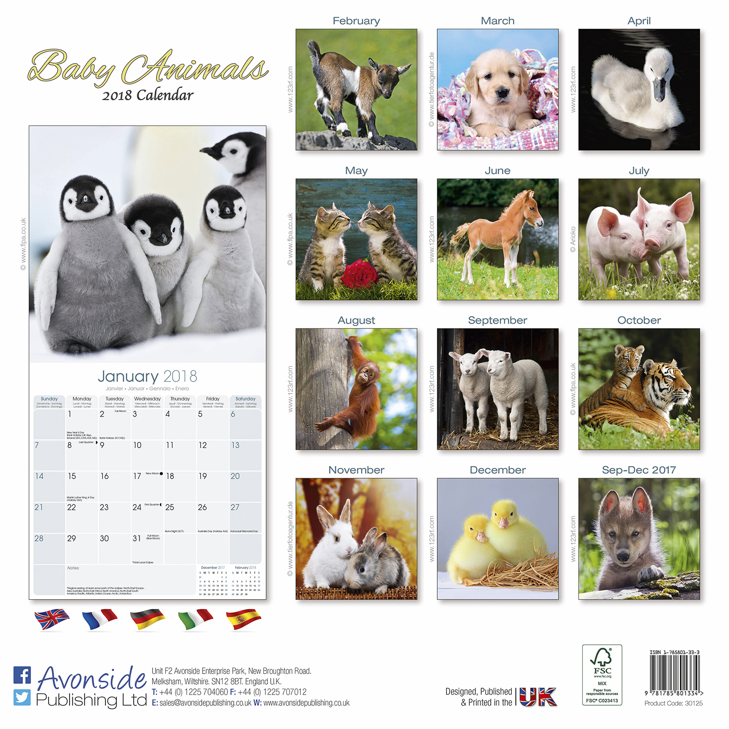 Baby Animals Calendar 2018 Pet Prints Inc.
