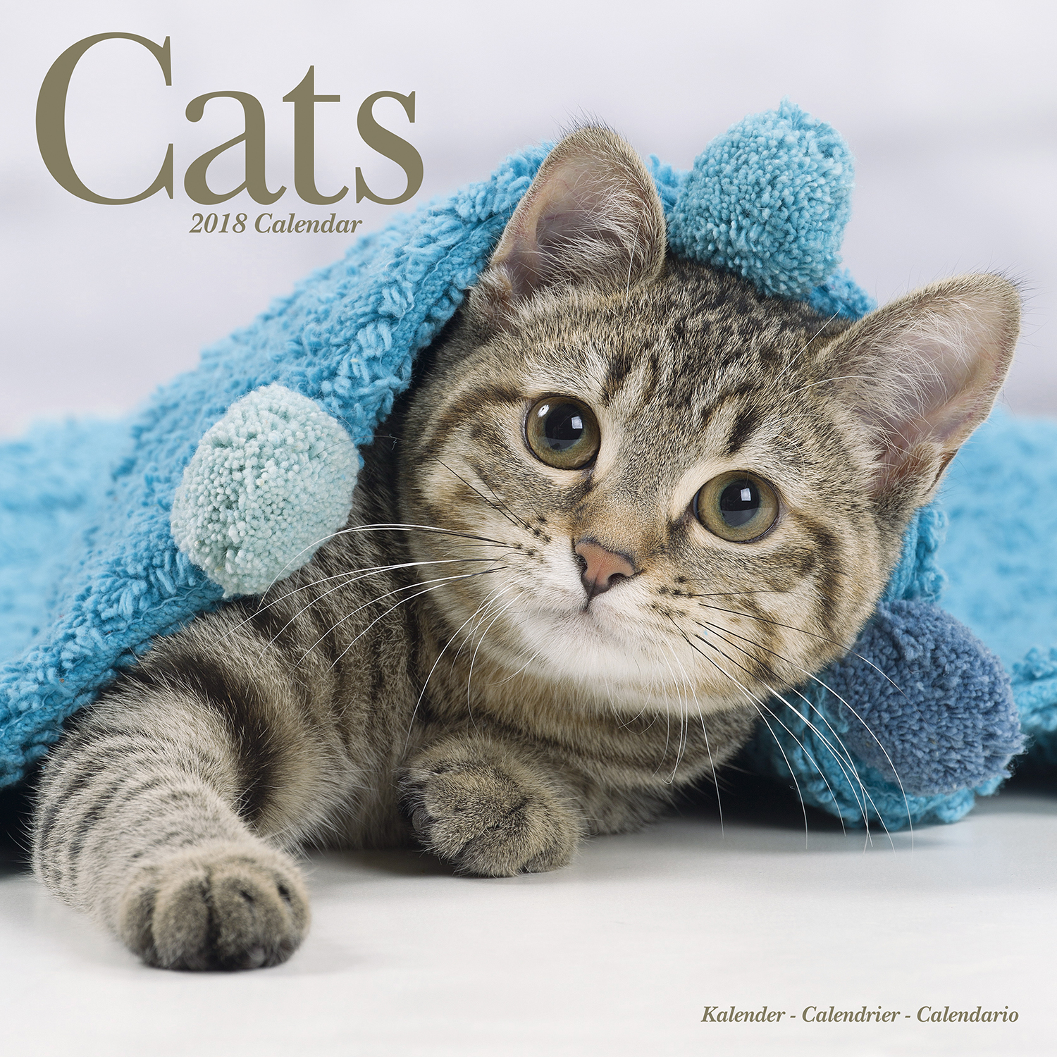 Cats Calendar 2018 Pet Prints Inc