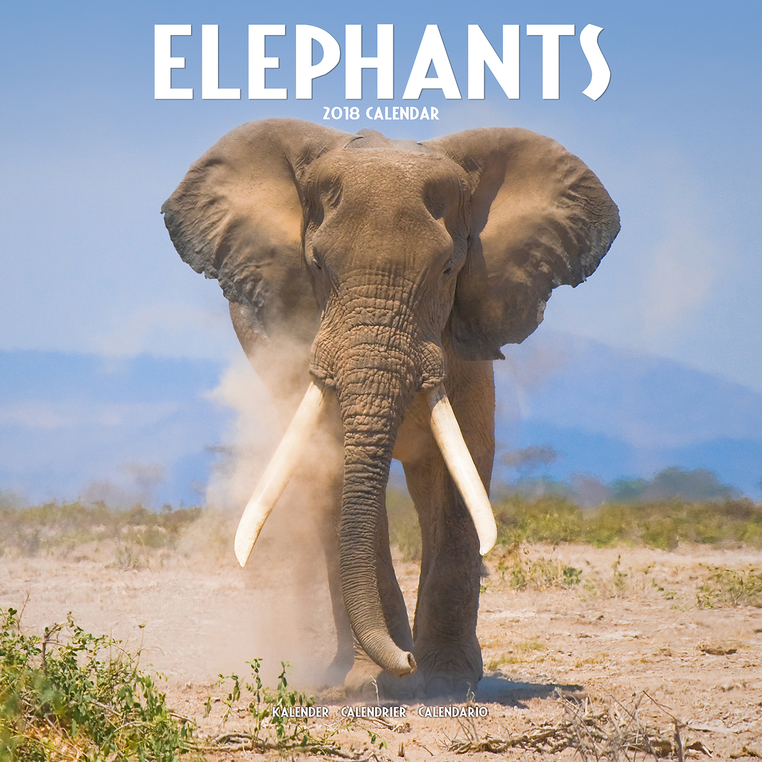 Elephants Calendar 2018 Pet Prints Inc