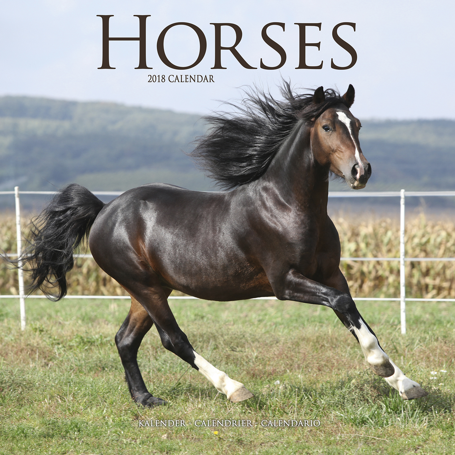 Horses Calendar 2018 3012218 Horses Animals