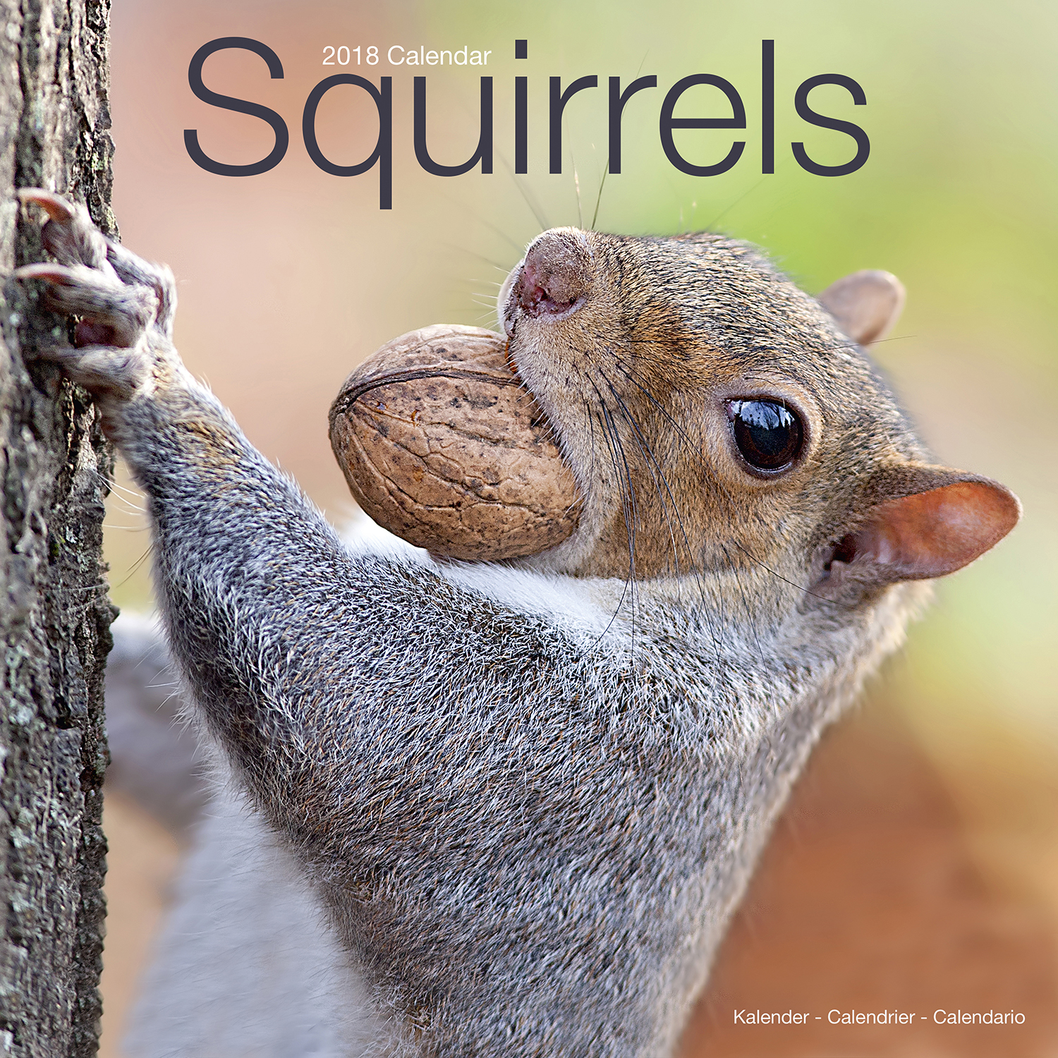 squirrels-calendar-2018-30148-18-wildlife-animals