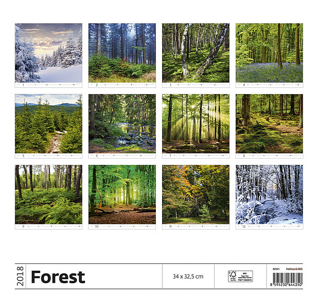Forest Calendar 2018 Scenic BeautyNatural Wonders