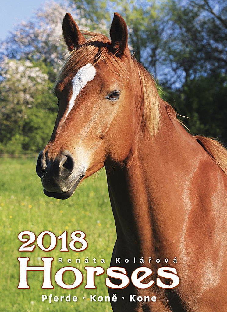 Horses Calendar LG 2018 Horses