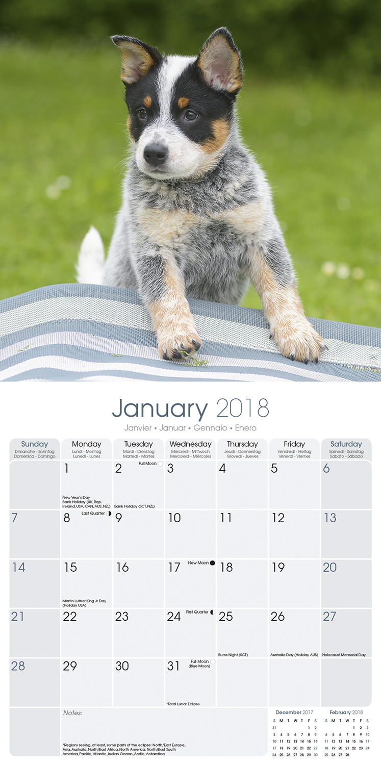 Australian Cattle Dog Calendar 2018 Pet Prints Inc.