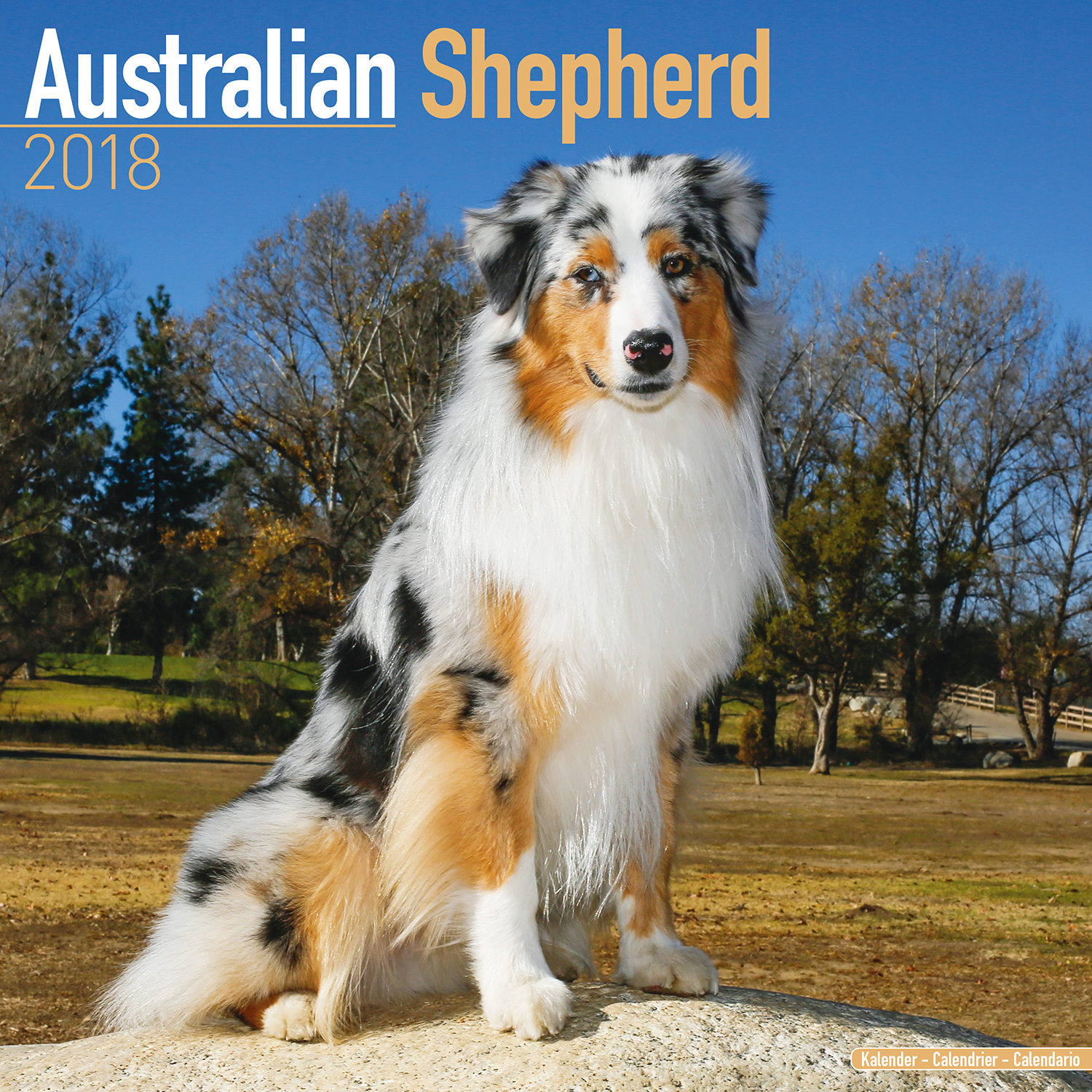 Australian Shepherd Calendar 2018 Pet Prints Inc 