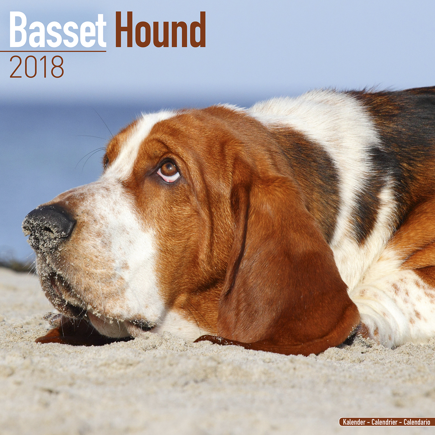 Basset Hound Calendar 2018 Pet Prints Inc 