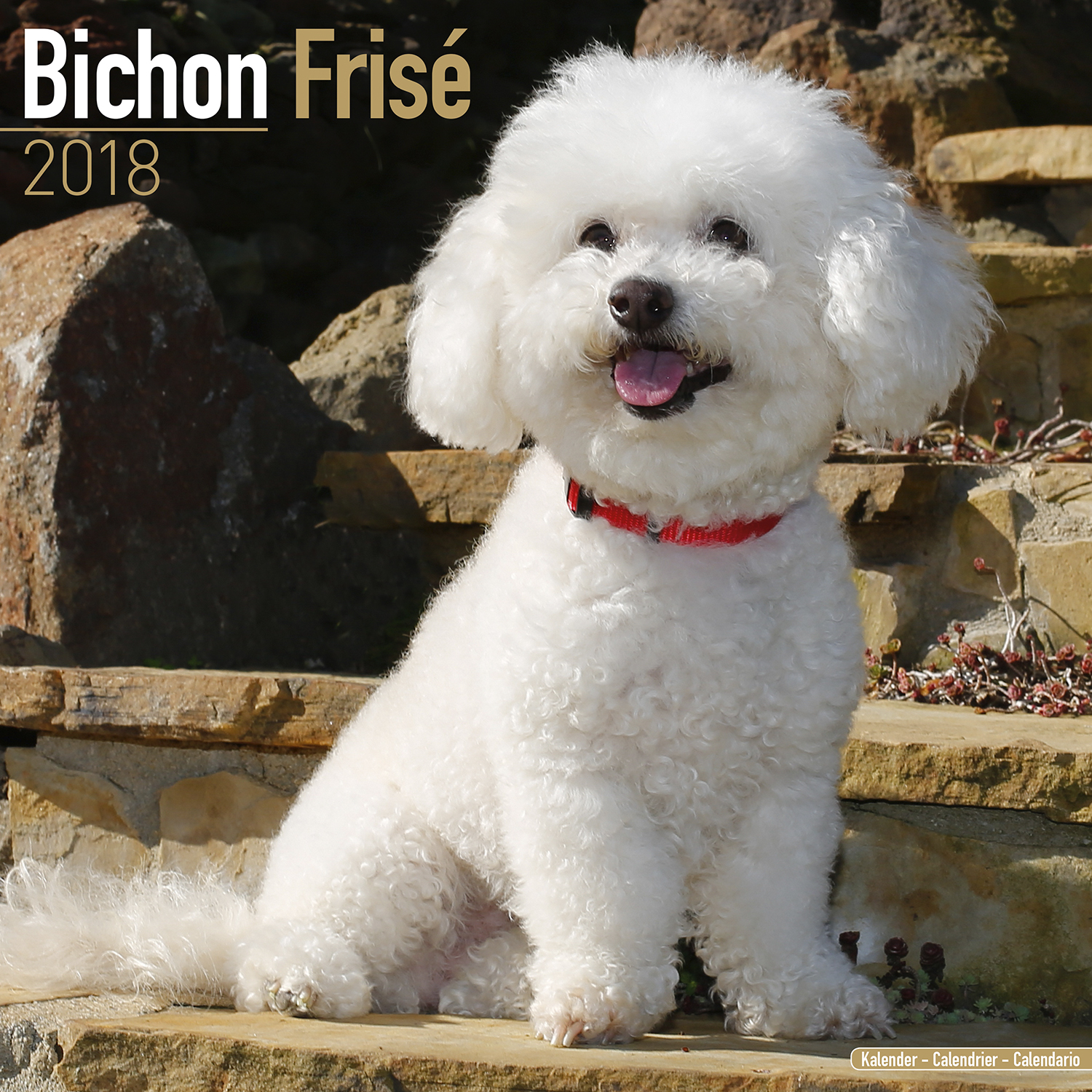 Bichon Frise Calendar 2018 Pet Prints Inc.
