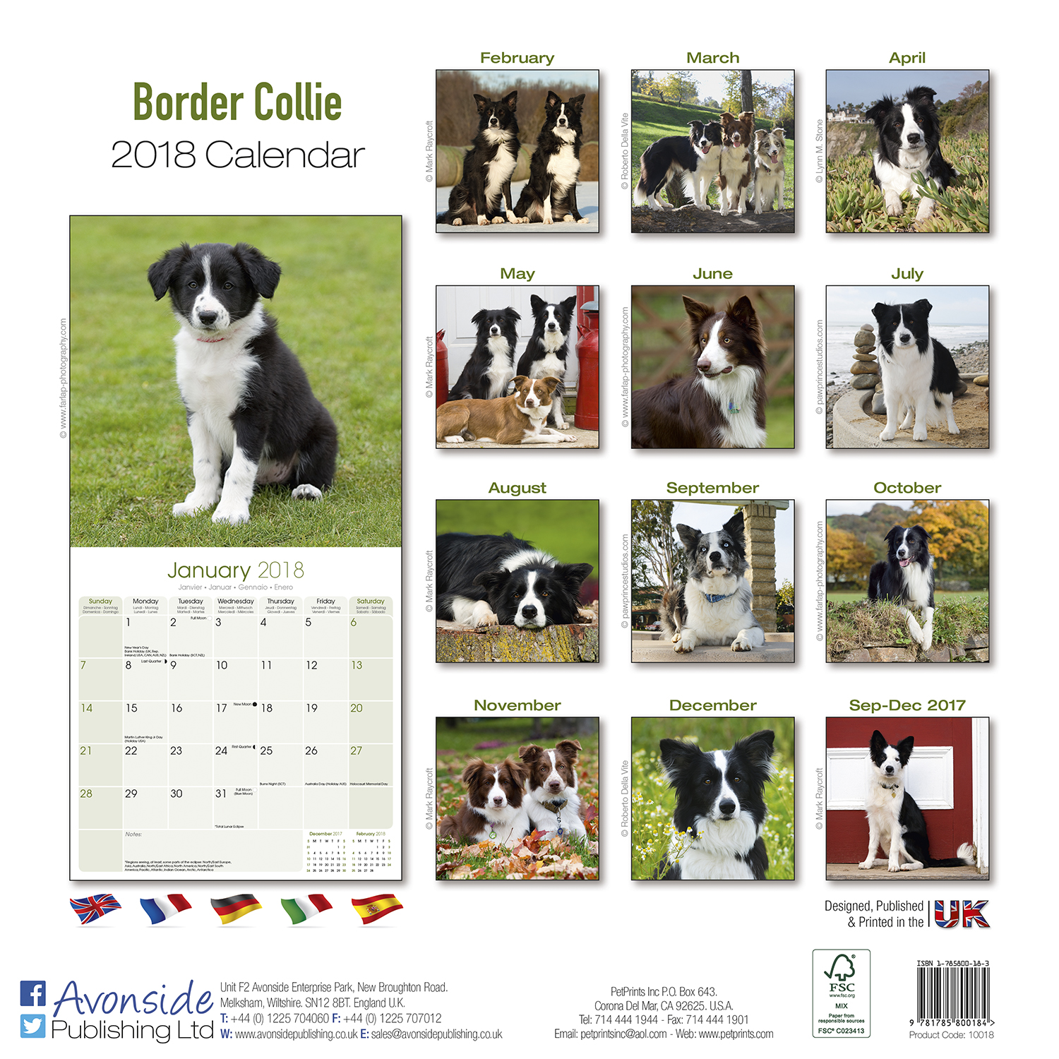 Border Collie Calendar 2018 Pet Prints Inc 