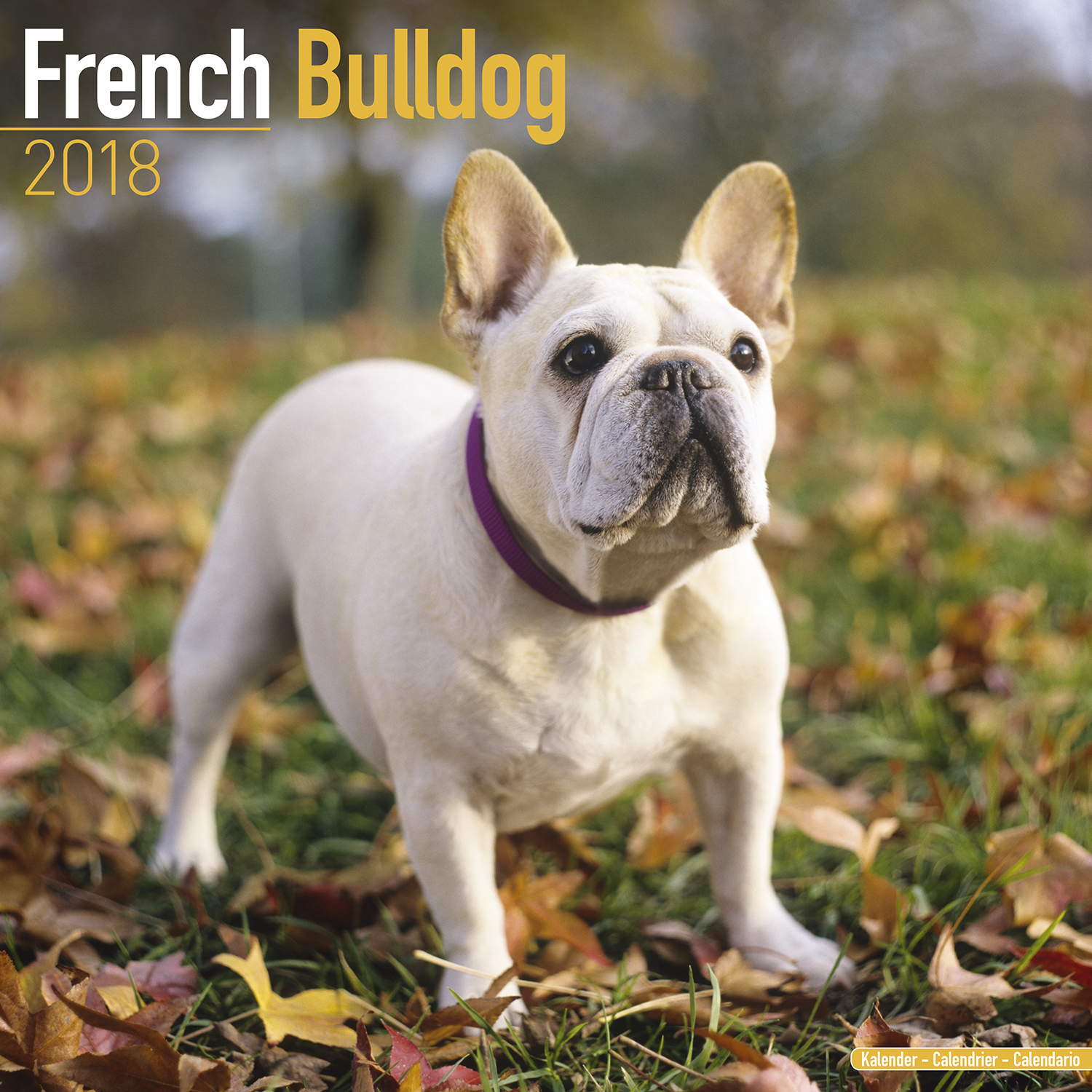 french-bulldog-calendar-2018-pet-prints-inc