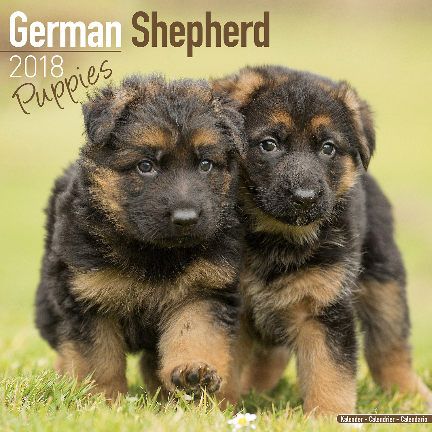 German Shepherd Puppies Calendar 2018 Pet Prints Inc.