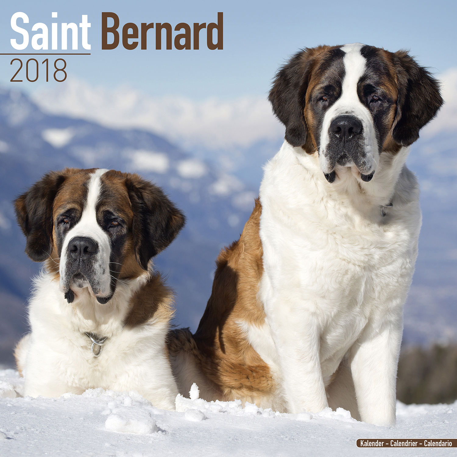 St Bernard Calendar 2018 10075 18 St Bernard Dog Breeds St Bernard Calendar 2018 10075 18 St Bernard Dog Breeds