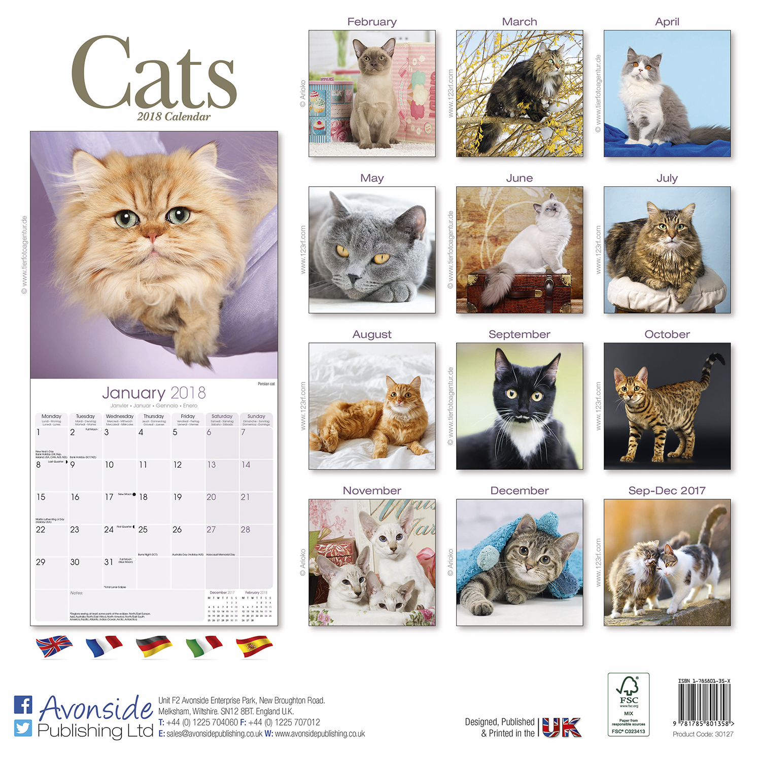 Cats Calendar 2018 | Pet Prints Inc.