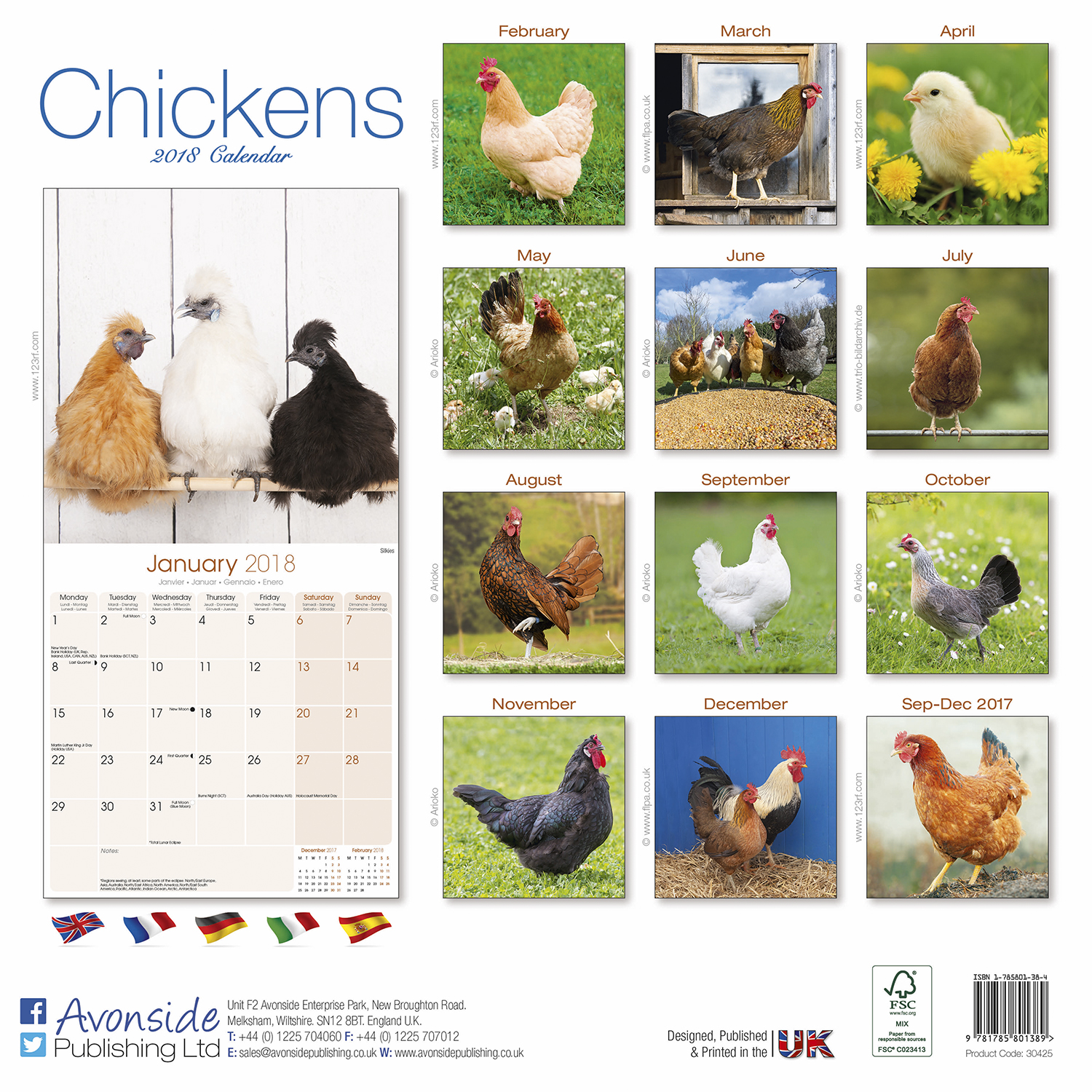 Chickens Calendar 2018 | Pet Prints Inc.