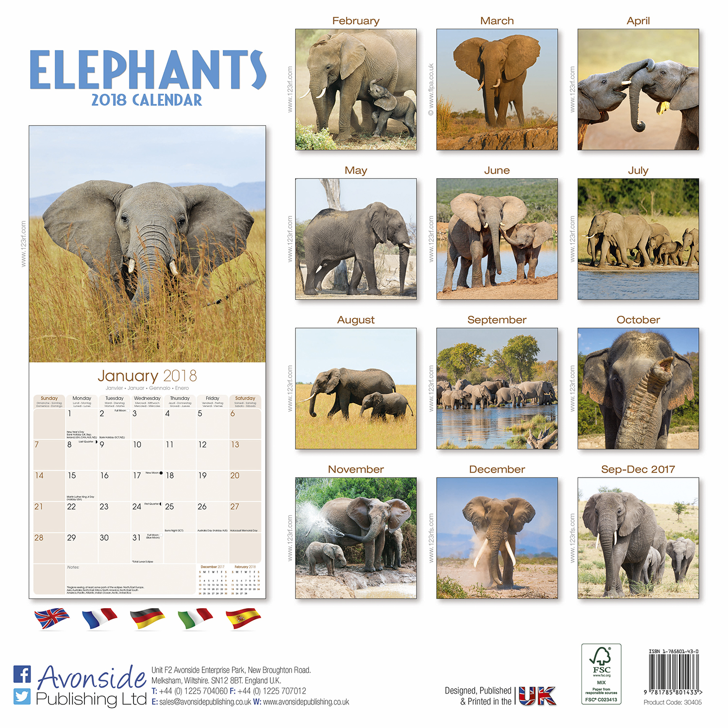 Elephants Calendar 2018 30405 18 Wildlife Animals