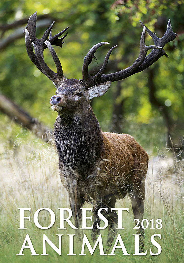 Forest Animals Wall Calendar 2018 | Animal Calendars