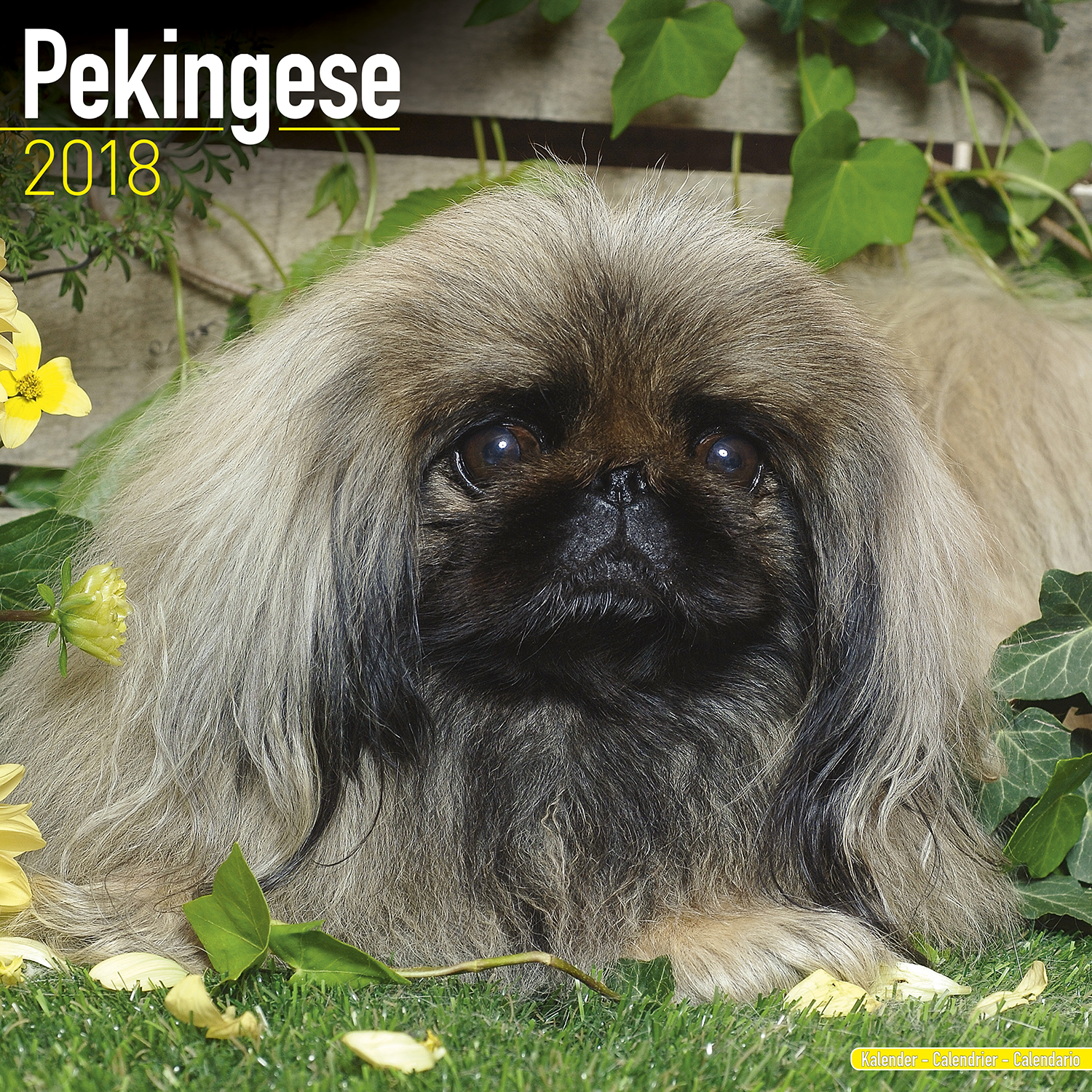 Pekingese Calendar 2018 | Pet Prints Inc.